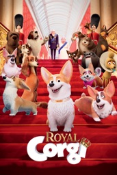 Royal Corgi
