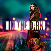 In the Dark - Bait and Switch artwork