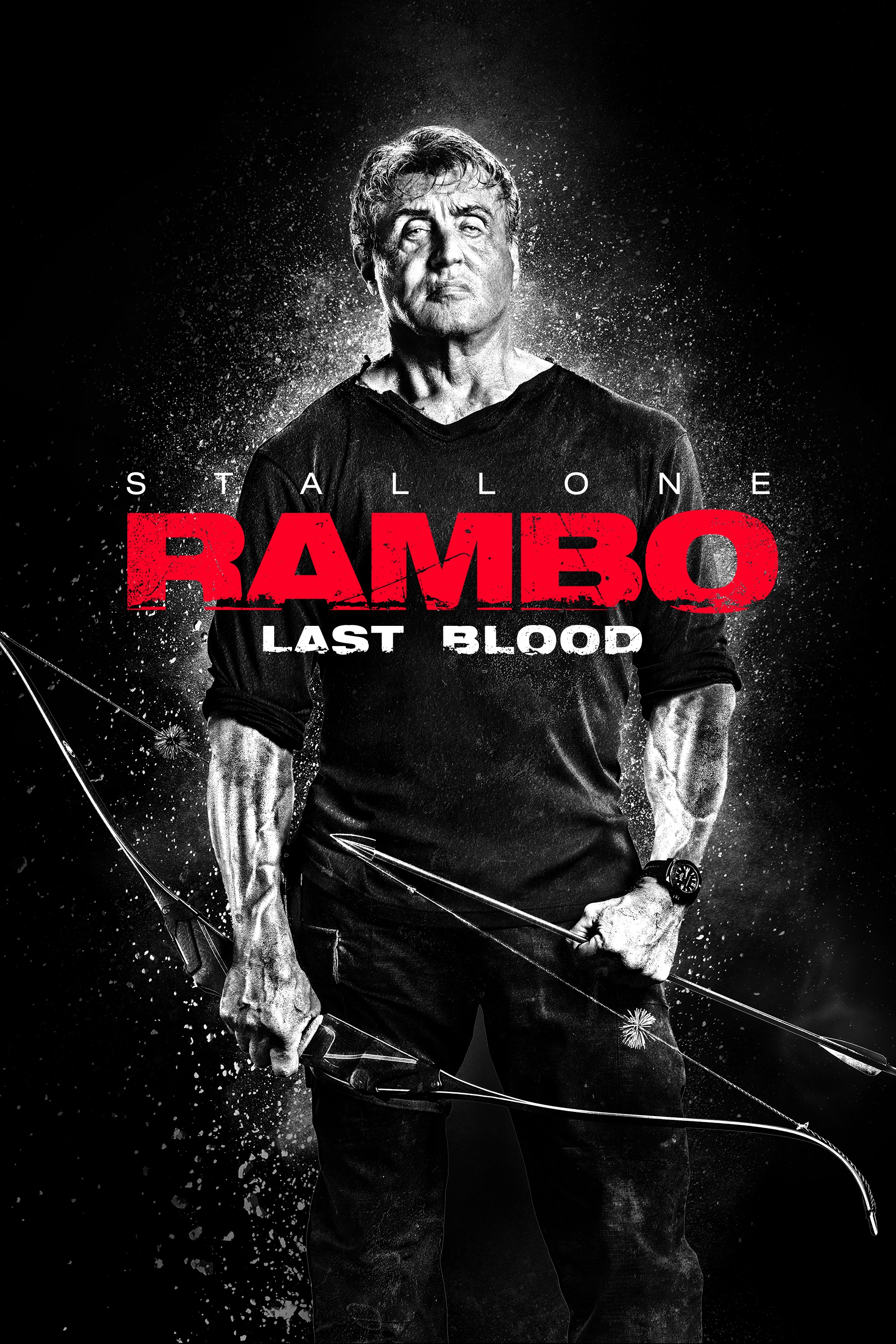 Rambo: Last Blood Poster