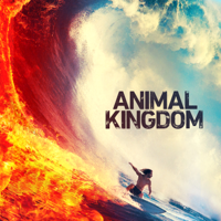 Animal Kingdom - Animal Kingdom, Staffel 4 artwork