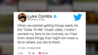 Luke Combs - Does To Me (feat. Eric Church) artwork