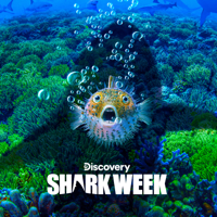 Shark Week - Legend of the Deep Blue artwork