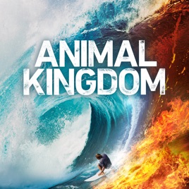 ‎Animal Kingdom, Season 4 on iTunes