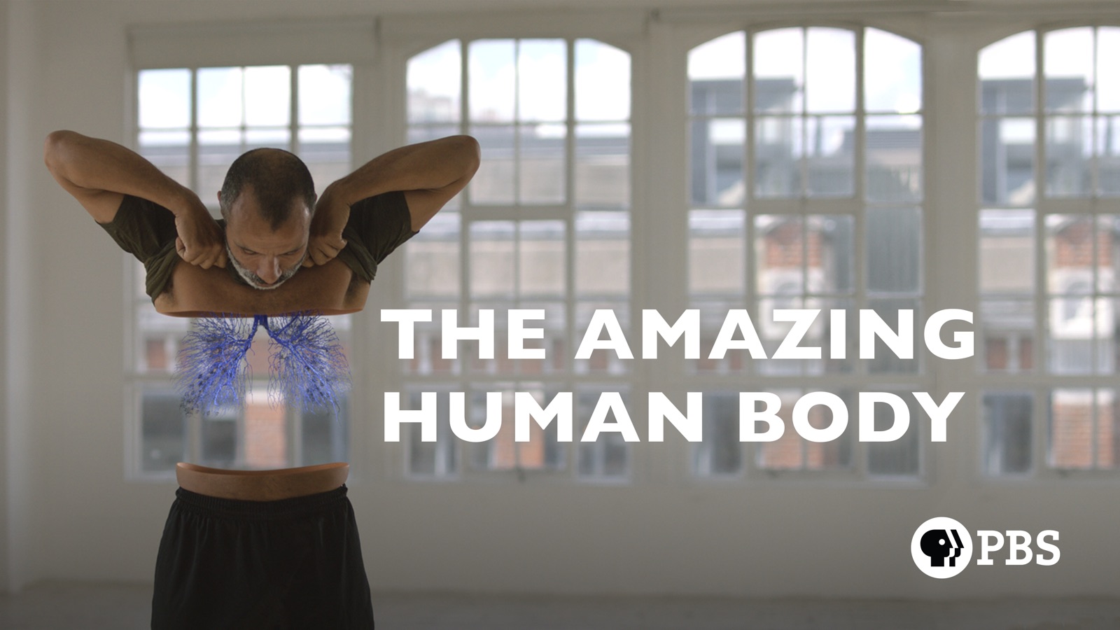 The Amazing Human Body Apple TV