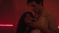 Shawn Mendes & Camila Cabello - Señorita artwork