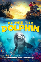 Kirk Harris - Bernie the Dolphin artwork