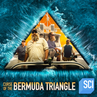 Curse of the Bermuda Triangle - Vanishing of Flight 19 artwork