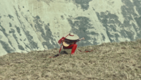 Aldous Harding - Fixture Picture artwork