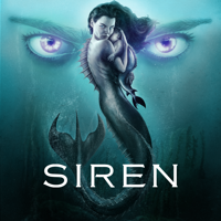 Siren - A Voice in the Dark artwork