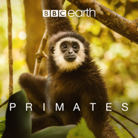 Primates - Secrets of Survival artwork