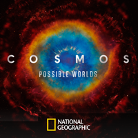 Cosmos - The Fleeting Grace of the Habitable Zone artwork