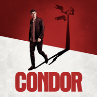 Condor - Not Necessarily to Lose artwork