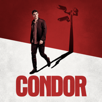 Condor - A Perspective, Not the Truth artwork