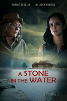 Dan Cohen - A Stone in the Water artwork