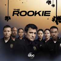 The Rookie - Amber artwork