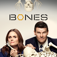 Bones - The Lance to the Heart artwork