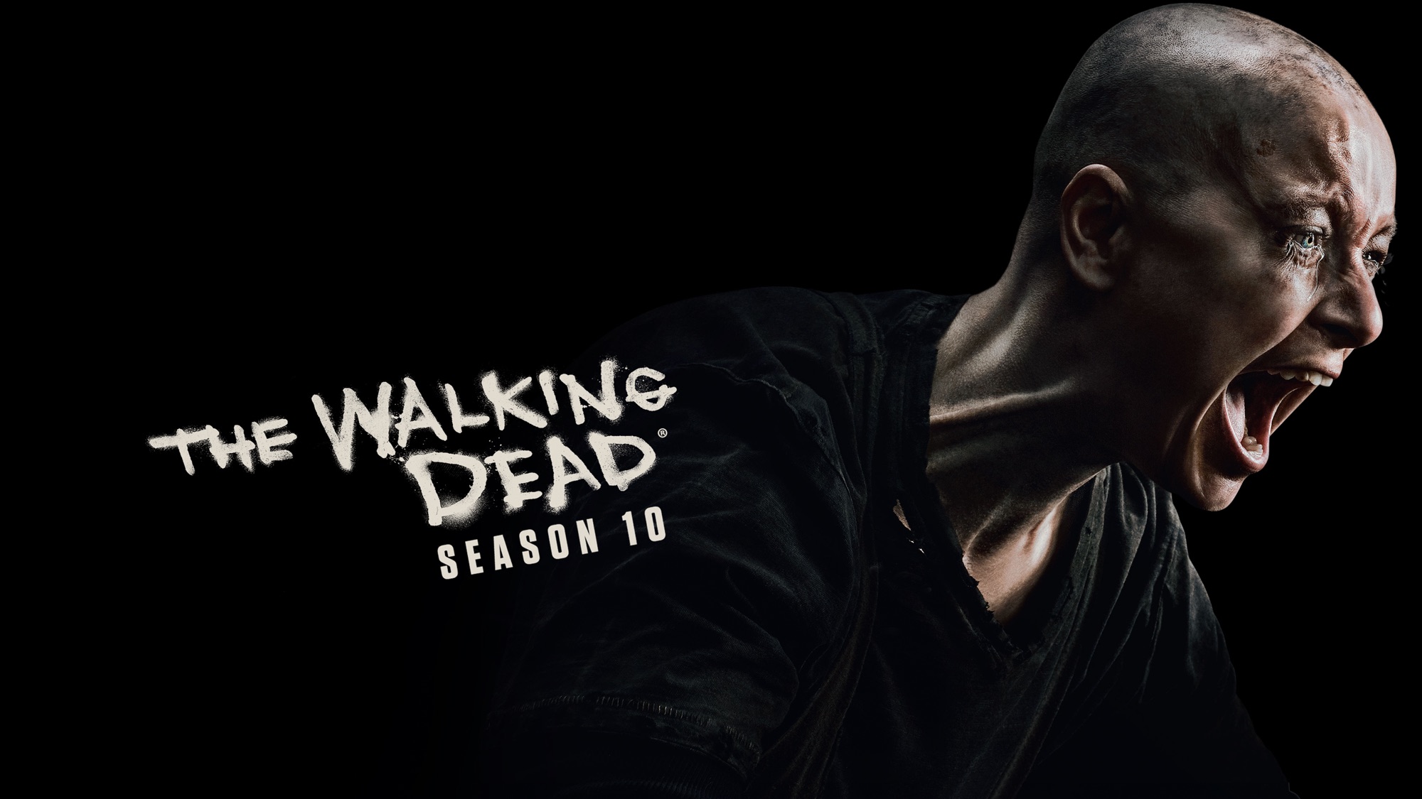 The Walking Dead on Apple TV