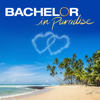 Bachelor in Paradise - Bachelor in Paradise, Season 7  artwork