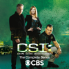 CSI: Crime Scene Investigation - CSI: The Complete Series  artwork