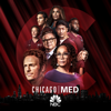 Chicago Med - All the Things That Could Have Been  artwork