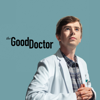 The Good Doctor - The Good Doctor, Season 5  artwork
