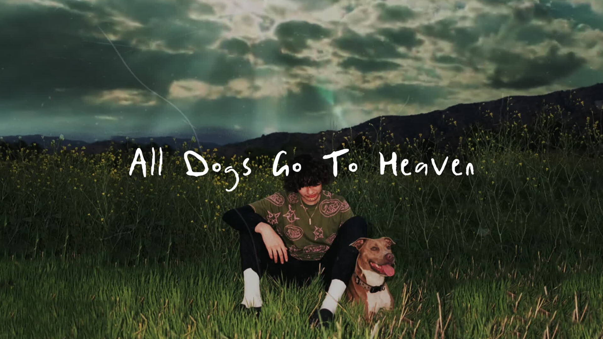 To go to the dogs. Glaive all Dogs go to Heaven. All Dogs go to Heaven Glaive Wallpaper. Glaive Music artist Cover all Dogs go to Heaven.