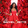 The Bachelorette, Season 20 - The Bachelorette