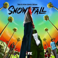 Snowfall - Snowfall, Season 1 artwork