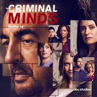 Criminal Minds - Criminal Minds, Staffel 14 artwork