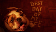 American Authors - Best Day of My Life (Dog Version) artwork