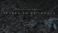 Martin Garrix & Dua Lipa - Scared to Be Lonely artwork