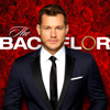 The Bachelor - The Bachelor, Season 23  artwork