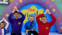 The Wiggles - The Shimmie Shake! artwork
