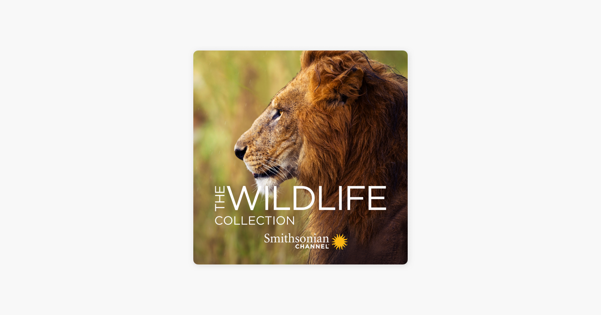 ‎Wildlife Collection, Vol. 2 on iTunes