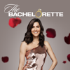 The Bachelorette - 1404  artwork