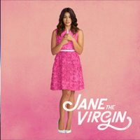 Jane the Virgin - Jane the Virgin, Season 1 artwork