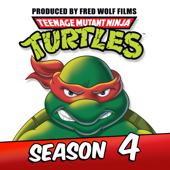Teenage Mutant Ninja Turtles (Classic Series), Season 4 - Teenage Mutant Ninja Turtles (Classic Series) Cover Art