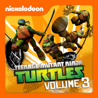Teenage Mutant Ninja Turtles - Follow the Leader artwork