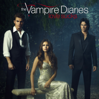 Vampire Diaries - Während du schliefst artwork