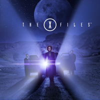 The X-Files - The X-Files, Season 8 artwork