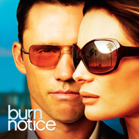 Burn Notice - Burn Notice, Season 3 artwork