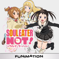 Soul Eater Not! - Soul Eater Not!, Complete Series artwork