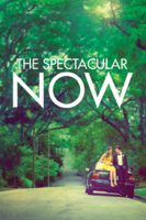 James Ponsoldt - The Spectacular Now artwork