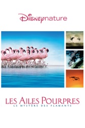 TÉLÉCHARGER LES AILES POURPRES LE MYSTÈRE DES FLAMANTS DES LE MYSTÈRE TÉLÉCHARGER FLAMANTS POURPRES LES AILES