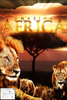 Timo Joh. Mayer & Benjamin Eicher - Amazing Africa artwork