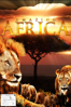 Amazing Africa - Timo Joh. Mayer & Benjamin Eicher