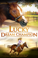Joel Paul Reisig - Lucky: Dream Champion artwork