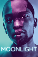 Barry Jenkins - Moonlight artwork