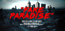 Fake Paradise - Dub Fx