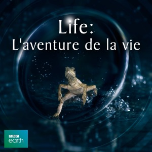 Life, Life: L'aventure de la vie - Episode 2